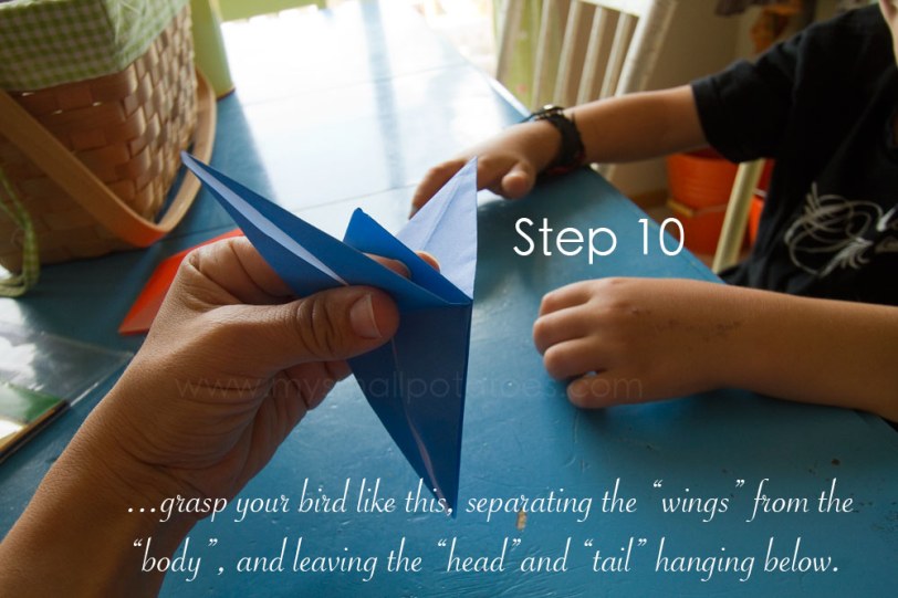 step10