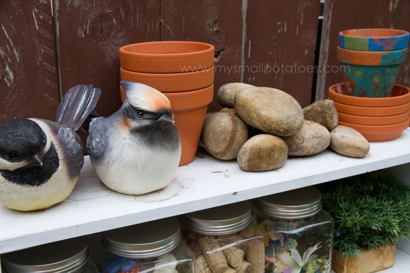birds_pots_rocks